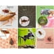 thumbnail image 3 of Combo Insecticida Cipermetrina 200 950 mL y DDVP 50 950 mL Palhogar Combo Insecticida Cipermetrina 200 y DDVP 50, 3 of 3