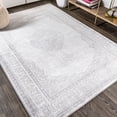 thumbnail image 4 of JONATHAN Y SILK ORCHID 5 x 8 Area Rug, Mughal Ornate Medallion Traditional - Gray, SOR101A-5, 4 of 10