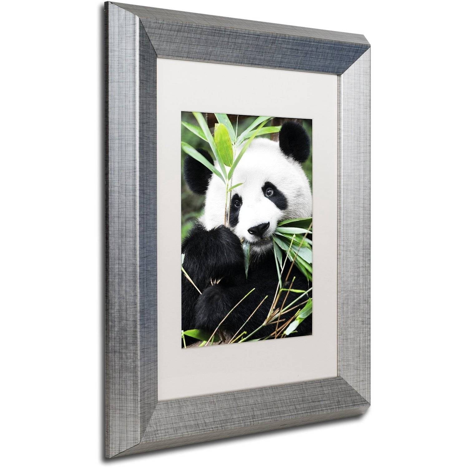Trademark Fine Art "Giant Panda I" Canvas Art by Philippe Hugonnard, White Matte, Silver Frame