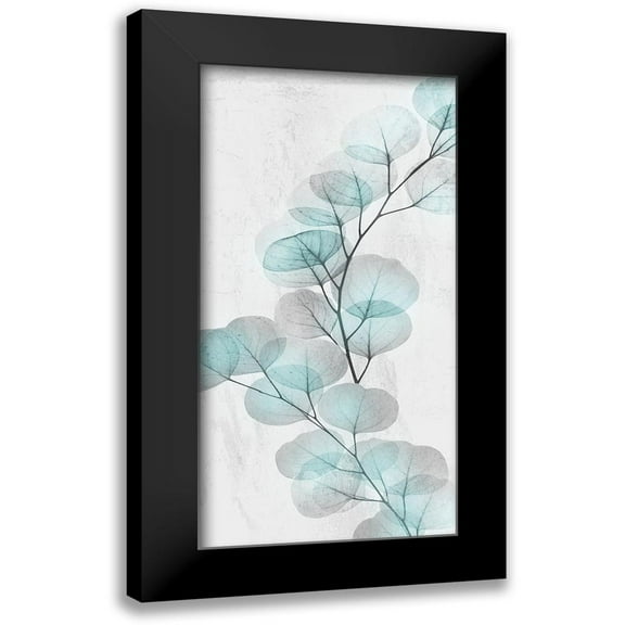 Koetsier, Albert 9x14 Black Modern Framed Museum Art Print Titled - Eucalyptus Glow 2