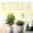 White, variant on EASY GROW LED Grow Lights for Seeding, Herbs and Indoor Houseplants, Full Spectrum, Auto ON/OFF Timer and Controller - 4 Pack (1.5 FT)