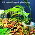 thumbnail image 4 of Fish  Planter Cups, Stable Fish  Plant Holder Fast Propagation Plant Hanging Beautiful  For Aquascape Decorations, 4 of 8