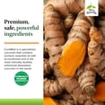 thumbnail image 5 of Terry Naturally CuraMed 100mg - 60 Chewable Tablets - Clinically Studied Curcumin + Turmeric, 5 of 7
