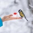 thumbnail image 4 of 4Pcs Handheld Hummingbird Feeders, 4.5x3cm Flower Wild Bird Feeders Wild Bird Feeding Tool For Outdoors, 4 of 8