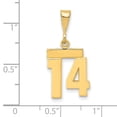 thumbnail image 2 of 14k Yellow Gold Small Polished Number 14 Charm Pendant, 2 of 2