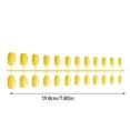 thumbnail image 3 of 24x Solid Small Round Head Coffin False Nails Removable Neat DIY Exquisite Personality for Manicure Lovers Type19, 3 of 6