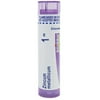 Boiron Zincum Metallicum 1M, Homeopathic Medicine for Leg Cramps, 80 Pellets