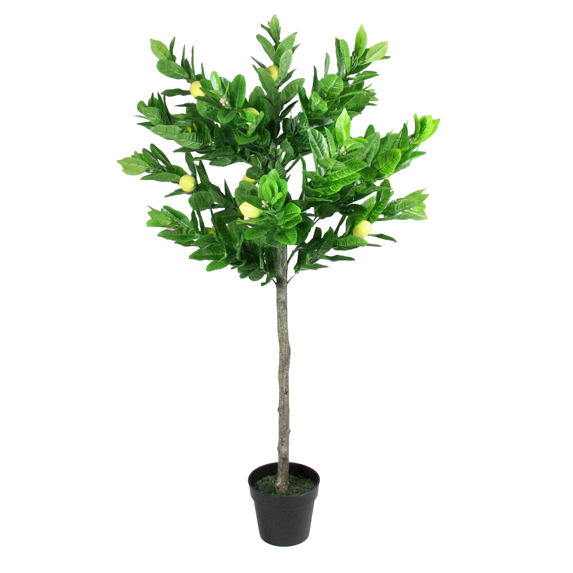 57" Potted Green and Yellow Artificial Lemon Tree