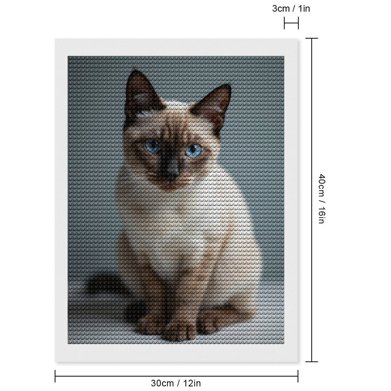 Diamond Art Kits for Adults, Blue Eyed Siamese Cat Sitting 5D Diamond Painting Kits for Adults Beginners, DIY Full Drill Diamond Painting, Gem Art and Crafts 12x16