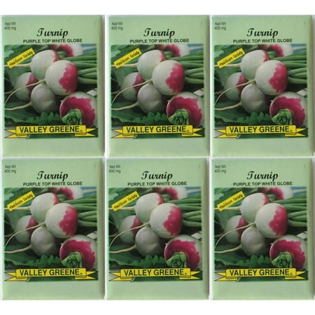 - Valley Greene (6 Pack) Heirloom Variety Purple Top White Globe Turnip Seeds 400 mg/package Non GE Seeds