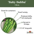thumbnail image 5 of Burpee Baby Bubba Hybrid Okra Vegetable Seed, 1-Pack, 5 of 6
