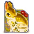 thumbnail image 1 of Pre-Owned A Little Bunny (Board Book), 1 of 1