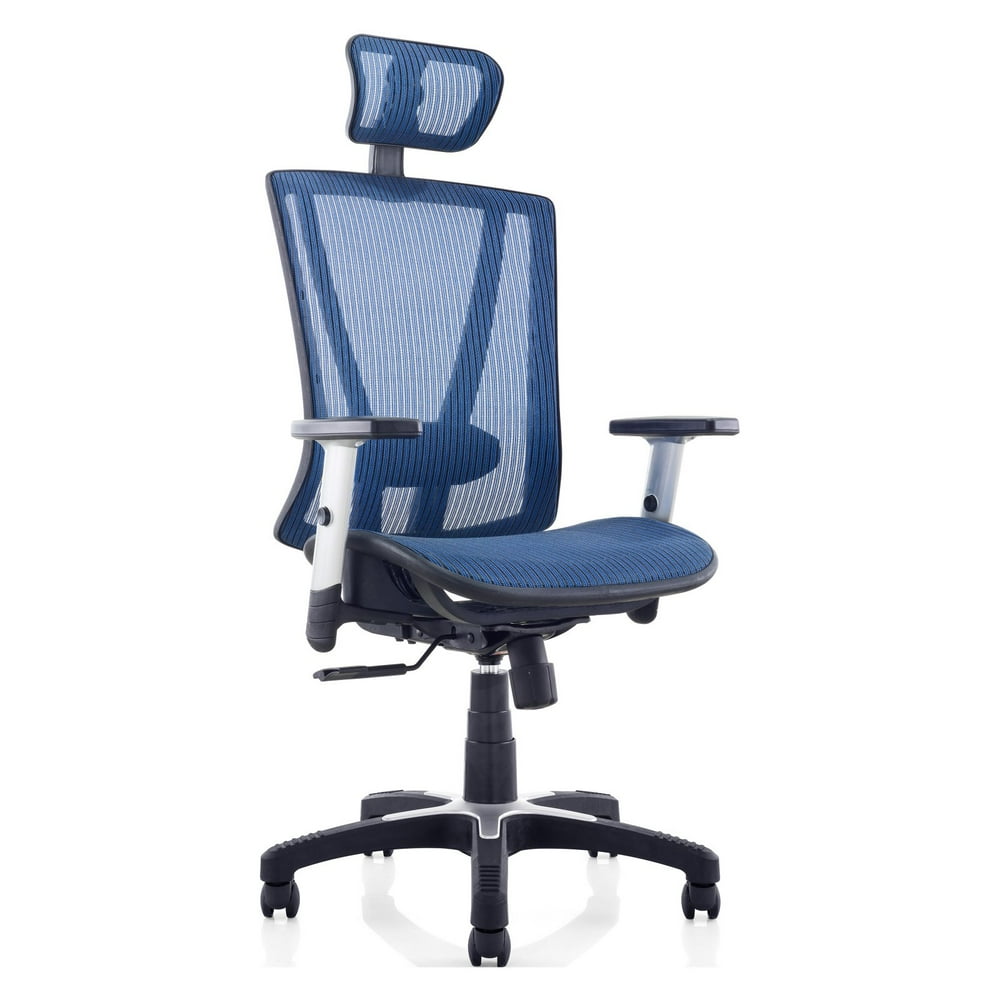 Fully Meshed Ergo Office Chair with Headrest (Blue)