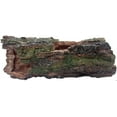 thumbnail image 2 of Komodo Forest Log, Large, 2 of 2