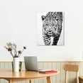 thumbnail image 2 of COMIO  Jaguar Leopard Canvas Wall Art Prints Black And White Animal Pictures Wall Art Decor Bathroom Bedroom Office Framed Artwork, 2 of 4
