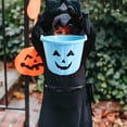 thumbnail image 5 of BNNG Halloween Trick or Treat Pumpkin Bucket, Jack O Lantern Candy Basket and Buckets for Trick or Treating, Orange Halloween Pails with Handle for Kids Party Favors Supplies Props, 5 of 5