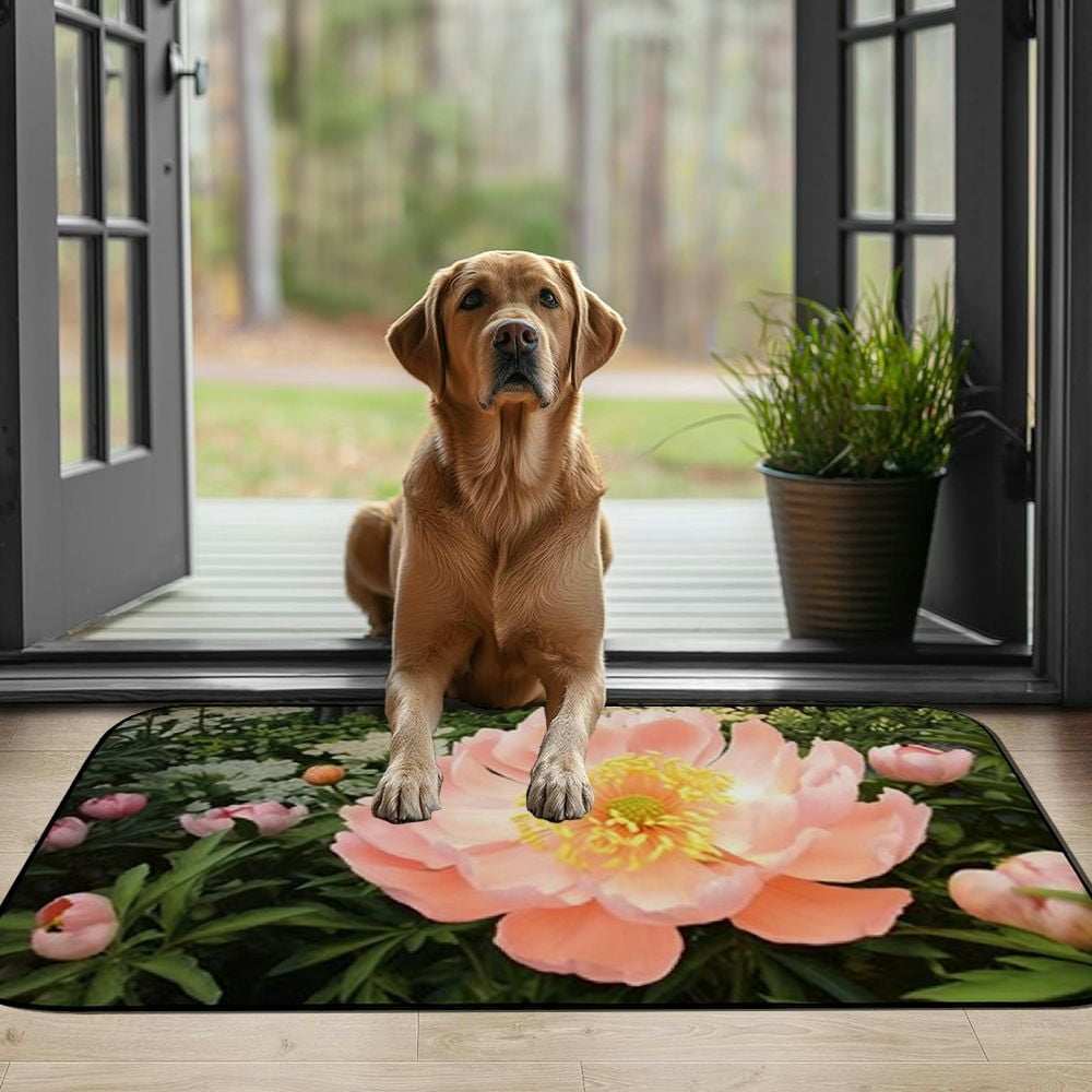 PHYHOO Doormat Floor Rug/Mat- Peonies Flowers Pink Garden Nature Plants Decorative Door Mat, Door Mat with Non-Slip Rubber Backing, Easy Cleaning, Traps Dirt, Rug for Entry, Patio