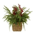 thumbnail image 2 of BotaniNest Vert et Rouge Adapté, 2 of 4