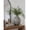 D8.9x12.8", variant on Sculptural Ribbed Cactus Ceramic Urn Vase, Artisan Decorative Vase for Mantel Console Dining Table Home Office Display