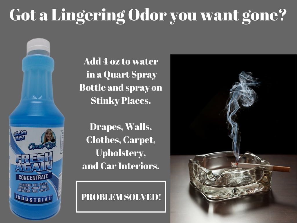 FRESH AGAIN - Concentrated Odor Eliminator | Removes Pet, Laundry, & Smoke Odor | Best For Odorless Upholstery, Rug, Carpet Etc. | Air Freshener For Beds, Litter Box Crates And Kennels | Big 32 Oz.