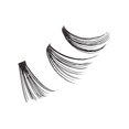 thumbnail image 5 of Krisp Beauty Cortaúñas para uñas encarnadas gruesas – Cortador de uñas de acero inoxidable de grado quirúrgico resistente, cortador de uñas para hombres, personas mayores, ancianos, podología, podólog, 5 of 5