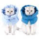 thumbnail image 2 of Collar Cat Cono Collar Deje de Lamer Bufanda Ajustable Collar de recuperación Cálida, 2 of 7