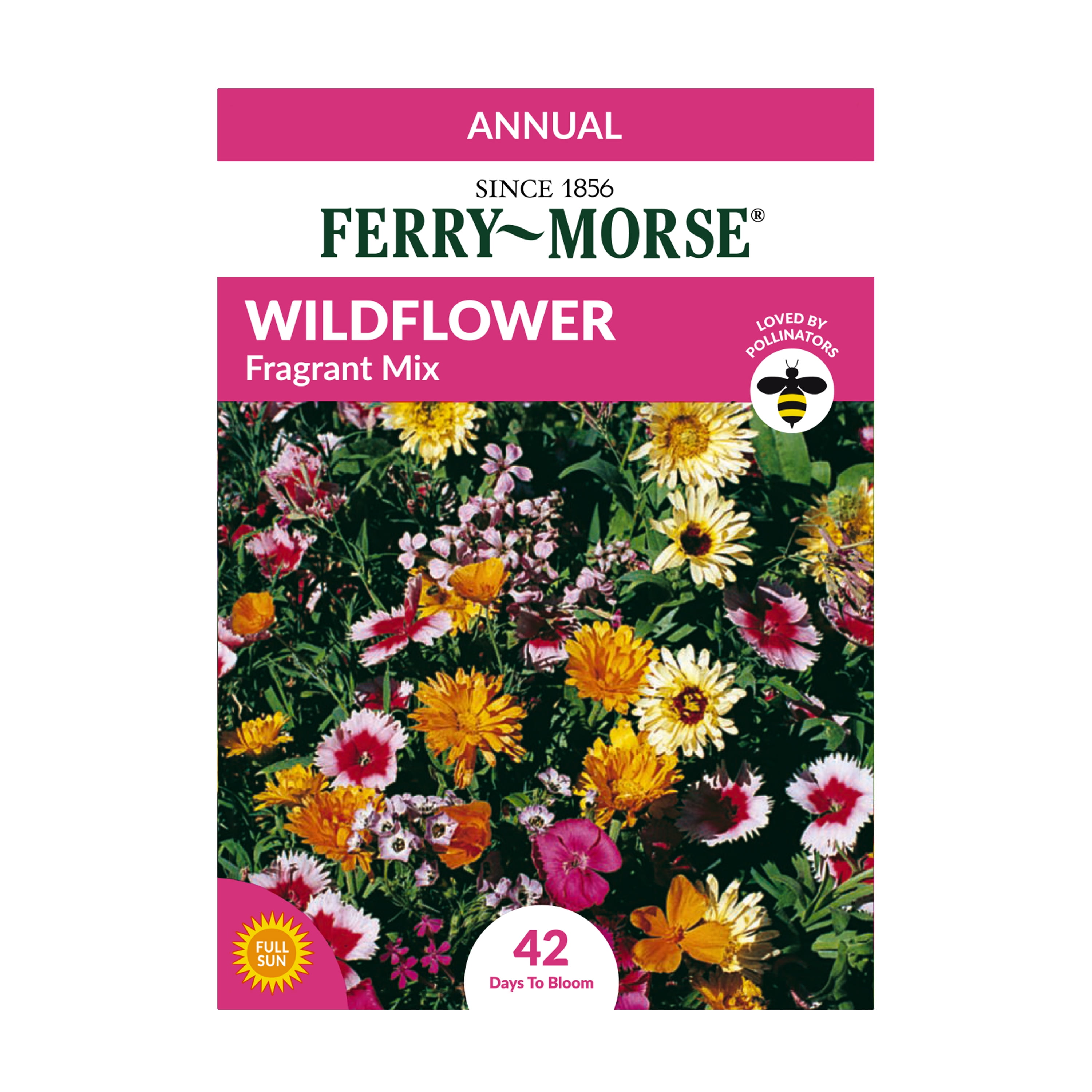 Ferry-Morse Wildflower Fragrant Mixture Flower Seeds (1 Pack) - Seed Gardening, Full Sunlight Flower Seeds (1 Pack) - Seed Gardening, Full Sunlight