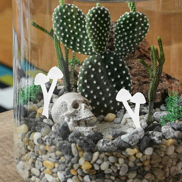 Phenofice 12 Pcs Simulation Miniature Mushroom Decor Realistic Design for Office Decor Model