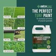 PetraTools Sprayers Green Grass Paint Lawn Paint, Lawn Colorant, Grass
