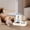 Blue, variant on Smart Programmable Automatic Pet Feeder, 3.8L Timed Dry Food Dispenser with Auto Waterer Bowl, Electric Feeding Station for Cats and Small‑Medium Dogs Indoor Feeding-(Blue)