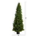 thumbnail image 2 of Nearly Natural 5.5ft. Cypress Cone Topiary Artificial Tree UV Resistant (Indoor/Outdoor), 2 of 5