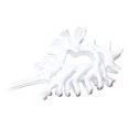 thumbnail image 1 of Pinzas para el pelo con forma de caracola para mujer, pinzas de moda con conchas marinas para pelo grueso, pinzas grandes de moda para verano, joyas, regalo., 1 of 6