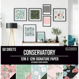 Amazon.com : Colorbok Double Sided Cardstock 8.5