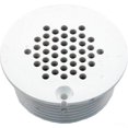 thumbnail image 1 of Grate Skimmer for Pool - White, 1 of 1