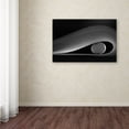 thumbnail image 2 of Olavo Azevedo 'The Egg' Canvas Art, 2 of 3