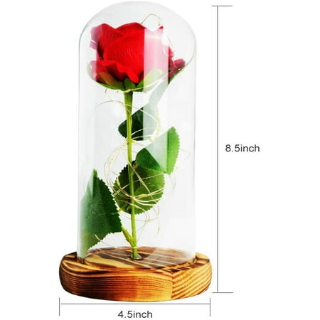 

ShangTianFeng Room Decor Rose Night Light Best Gift for Mom Gifts for Girlfriend Red Rose with Light