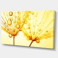 thumbnail image 1 of Designart - Dandelion Seeds with Water Drops - Floral Canvas Art Print, 1 of 2