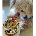 thumbnail image 2 of DEZICAKES Dog Cake- Puppy Christmas Cookie Cake- Bad to the Bone- Perfect Dog Gift Cake Boxed & Decorated, 2 of 9