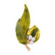 thumbnail image 3 of Broche de hojas, broche de solapa para mujer, decoración de boda de aniversario, hoja Verde, 3 of 9