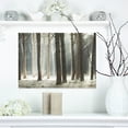thumbnail image 1 of Forêt de Pins Maritime avec Rayons - Art sur Toile Forêt Surdimensionnée, 1 of 3