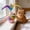 Pink-Free Size/PK, variant on Interactive Cat Tumbler Toy Roller Ball with Feather Catnip Toy for Indoor Cats Automatic Self Play Entertainer Exercise Toy Stimulate Hunting Instinct for Kittens Adult Cats Boredom Relief Supplies