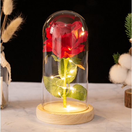

Room Decor Rose Night Light Best Gift For Mom Gifts For Girlfriend Red Rose With Light