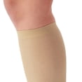 thumbnail image 2 of Ames Walker AW 169 Women's Cotton Travel Knee High Socks 15-20 mmHg, 2 of 6