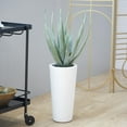 thumbnail image 2 of DecMode 34" Artificial Aloe Vera Plant in Realistic Leaves and White Fiberglass Pot, 2 of 8