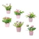 thumbnail image 2 of 6 piezas de flores artificiales en maceta, mini plantas rústicas en maceta. Estilo B, 2 of 9
