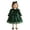 39Green50, variant on WERYOUNG Girls Dresses Long Sleeve Crewneck Cartoon Graphic Velvet Mesh Dresses For Girls Kids With Ruffle Bow Sash Soft Sundress 6-12 Months