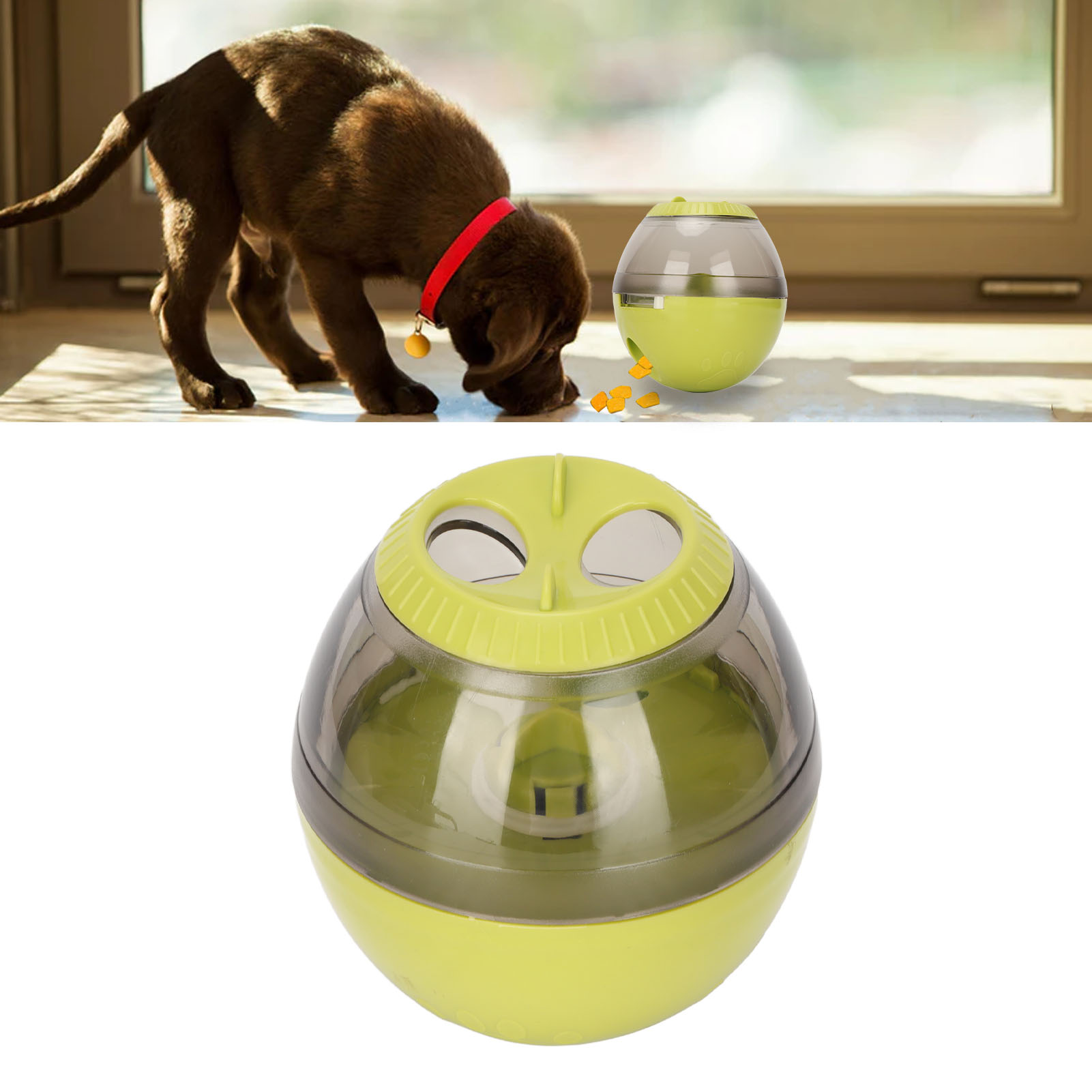 is a humidifier good for dogs