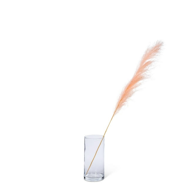 Set of 4 Large Pampas Grass