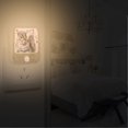 thumbnail image 7 of Grey Squirrel Night Lights Plug into Wall LED with Auto Light Sensor Warm Light for Kids Hallway Bedroom Living Room Kitchen Bathroom Set of 2, 7 of 7