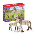 thumbnail image 1 of Botiquín de primeros auxilios para Hannah de Toy Schleich Horse Club, 1 of 8